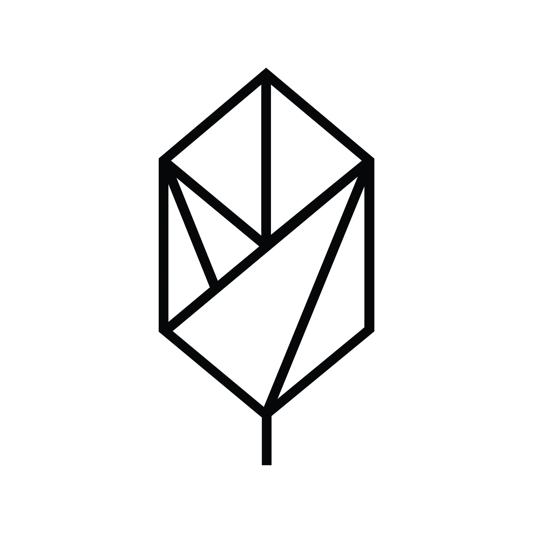 Pique Life logo