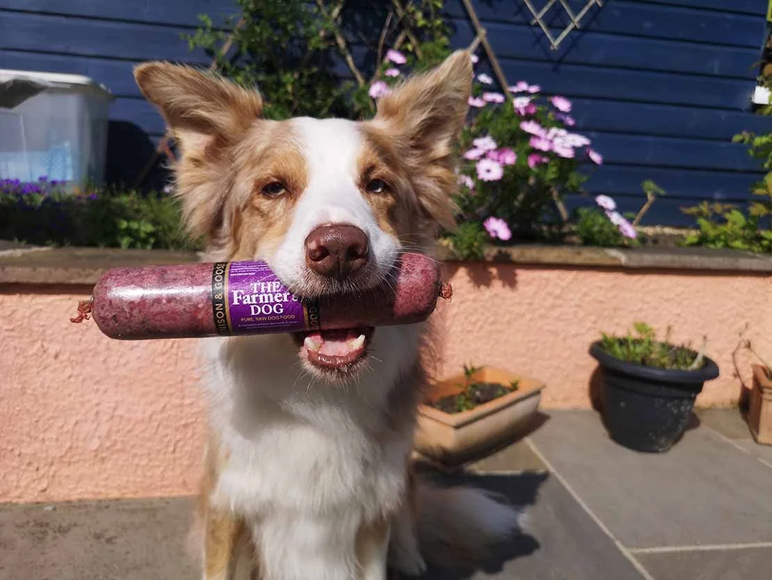 The Farmer's Dog UK